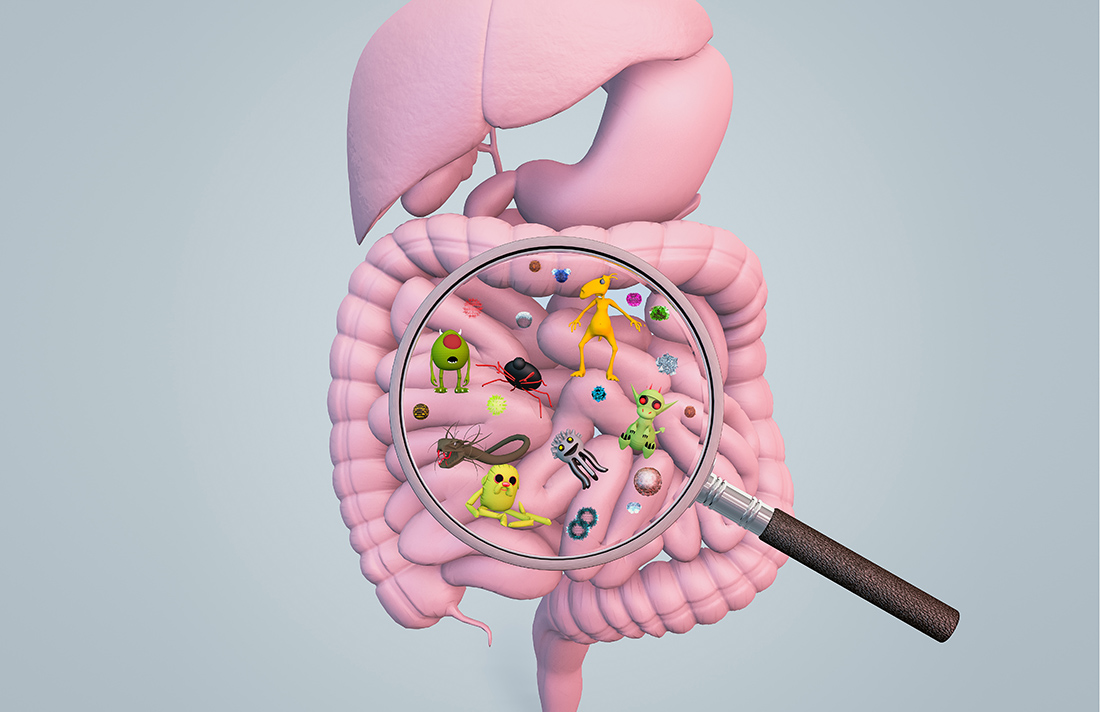 Lee más sobre el artículo El <strong>consumo excesivo de alcohol</strong> en la adolescencia provoca cambios en el microbioma intestinal